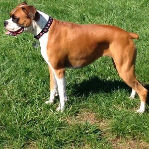 Meet your Posher, Drew